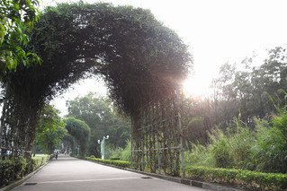 再按需打开相关阅读