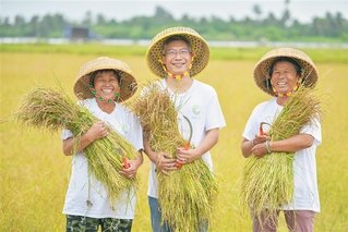 再进入全文
